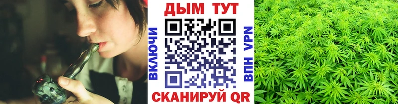 сколько стоит  Инта  Бошки Шишки индика 
